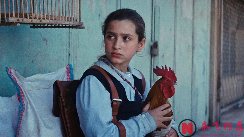 二月歐美即將上映的 11 部電影一覽