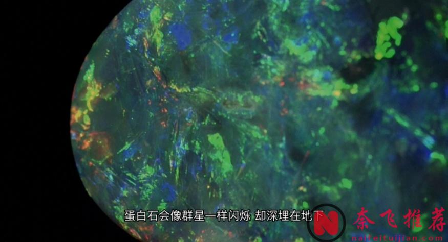 高分冷门佳作《蛋白石之梦》,一个由孩子为大人编织的童话故事