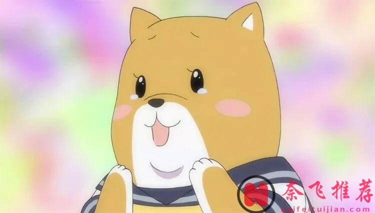 耳朵软、性格黏、嗷呜一声萌翻天:16位动画中的犬系女孩